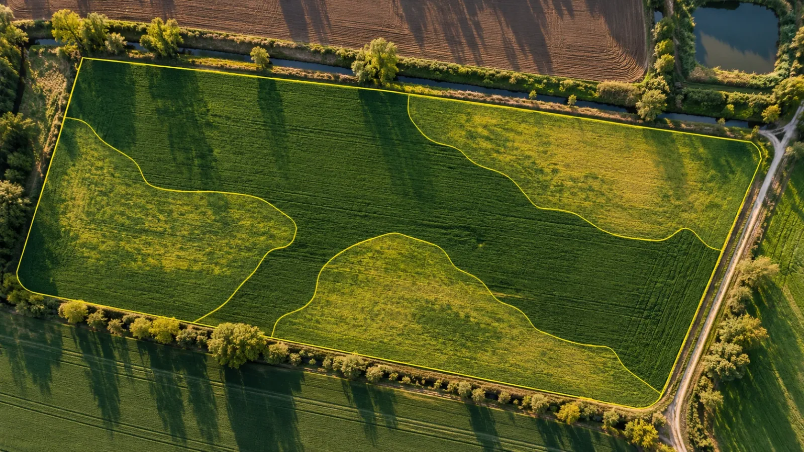 Top-down aerial view of farmland at golden hour, with one cereal field showing uneven crop colour divided by thin yellow lines into three management zones